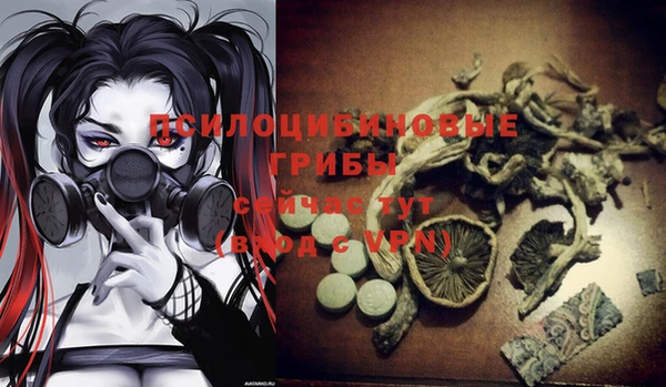 spice Ладушкин