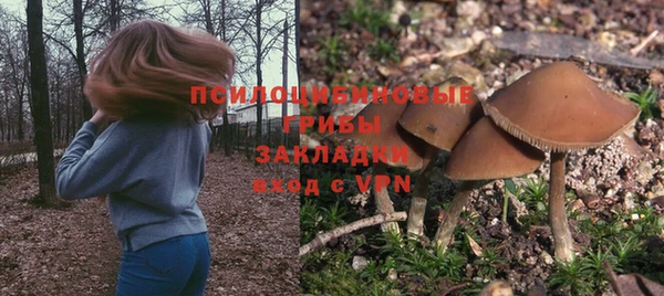 MDMA Лагань
