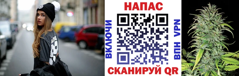 Марихуана Ganja  Купить закладки  Нея 